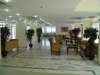 Hotel Emre & Emre Beach 